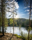 Forest view with sunrays and lake reflection. Royalty Free Stock Photo