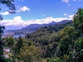 Forest view in tropical mountains. Tall spruce and pines. Clouds with a clear sky. Royalty Free Stock Photo