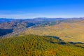 Forest and village in aerial autumn landscape