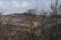 A Forest and a Village after a Wildfire