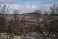 A Forest and a Village after a Wildfire