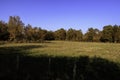 Forest walk in autumn with setting sun Royalty Free Stock Photo