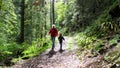 Forest Family Morning Walk