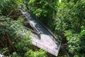 Forest Walk of Telok Blangah Hill Park rainforest