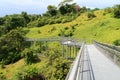 Forest Walk of Telok Blangah Hill Park rainforest Royalty Free Stock Photo