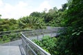 Forest Walk of Telok Blangah Hill Park rainforest, Singapore Royalty Free Stock Photo