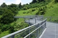 Forest Walk of Telok Blangah Hill Park rainforest, Singapore