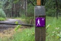 Forest walking paths network signpost in Kempen forest, brabant, Netherlands