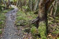 Forest walking route Royalty Free Stock Photo