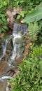 Forest water raimbow Nature sky