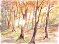 Forest watercolour painting.