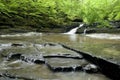 Forest Waterfall