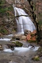 Forest waterfall