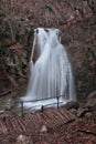 Forest waterfall