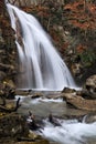 Forest waterfall