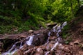 Forest waterfall