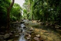 Forest, Waterfall, Lake, Landscape - Scenery, Scenics - Nature Royalty Free Stock Photo