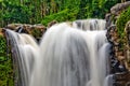 Forest waterfall long-exposured photo