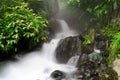 Forest waterfall Royalty Free Stock Photo