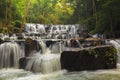 Forest waterfall Royalty Free Stock Photo