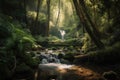 forest with waterfall, offering a peaceful escape