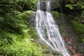 Forest waterfall and red rocks covered with moss in the woods Royalty Free Stock Photo