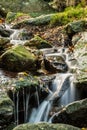 Forest waterfall