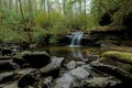 Forest and waterfall in South Carolina Royalty Free Stock Photo