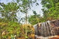 Forest, Waterfall, Stone