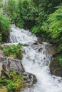 Forest waterfall on the whole frame