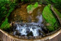 Forest with waterfall and wooden bridge Royalty Free Stock Photo