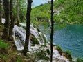 Forest waterfalls dropping fresh torrents into the azure lake Royalty Free Stock Photo