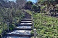 Forest Way with stairs at Alexandria Bay, Noosa National Park Royalty Free Stock Photo