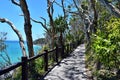 Forest way trail with an amazing ocean scenery at Noosa National Park