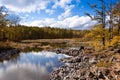 Forest and wetland Royalty Free Stock Photo