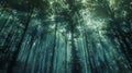 forest where the trees and foliage are made of digital data streams and code. Royalty Free Stock Photo
