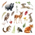 Forest wild animal set. Watercolor illustration. Fox, badger, rabbit, deer, chipmunk, bunny, owl, bird, feather and Royalty Free Stock Photo