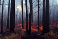 Forest wildfire dangerous natural disaster background. Wild fire flame blazing causing wilderness destruction, ecology