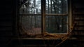 Through The Forest Window A Gritty And Dark Abandoned House