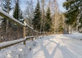 Forest in winter after heavy snowfall. Winter landscape, a day in a winter forest with freshly fallen snow, a country road with a Royalty Free Stock Photo