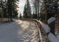 Forest in winter after heavy snowfall. Winter landscape, a day in a winter forest with freshly fallen snow, a country road with a Royalty Free Stock Photo