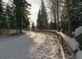 Forest in winter after heavy snowfall. Winter landscape, a day in a winter forest with freshly fallen snow, a country road with a Royalty Free Stock Photo