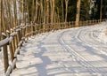 Forest in winter after heavy snowfall. Winter landscape, a day in a winter forest with freshly fallen snow, a country road with a Royalty Free Stock Photo