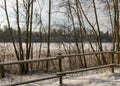 Forest in winter after heavy snowfall. Winter landscape, a day in a winter forest with freshly fallen snow, a country road with a Royalty Free Stock Photo