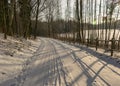 Forest in winter after heavy snowfall. Winter landscape, a day in a winter forest with freshly fallen snow, a country road with a Royalty Free Stock Photo