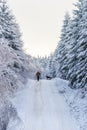 Forest winter road with a man walking his German shepherd dog Royalty Free Stock Photo