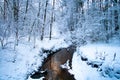 Forest in winter with snow and river Royalty Free Stock Photo