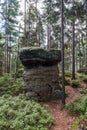 Forest with isolated rock in CHKO Broumovsko in Czech republic