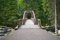 Forest wooden bridge raver crossing pine spruce