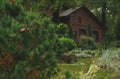 Forest wooden cabin pine wood land autumn moody outdoor scenic environment space in wilderness Royalty Free Stock Photo